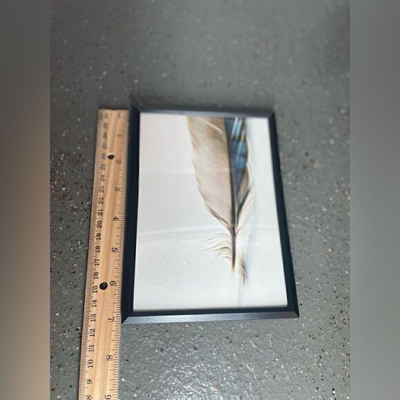 NEW! 5” x 7” Feather Framed ArtWork NWT Non-Glare Display Table or Wall … - Picture 2 of 4